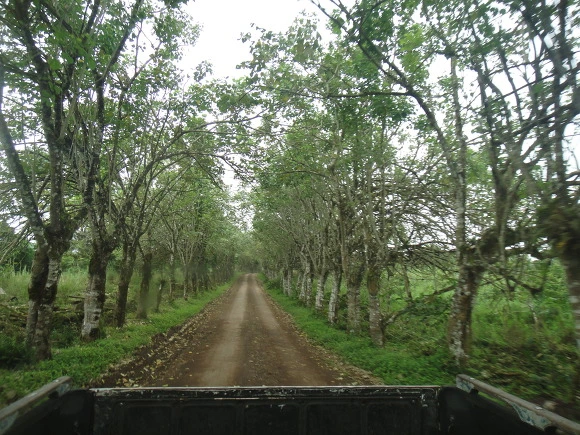 9906123359FB5E630CE96A