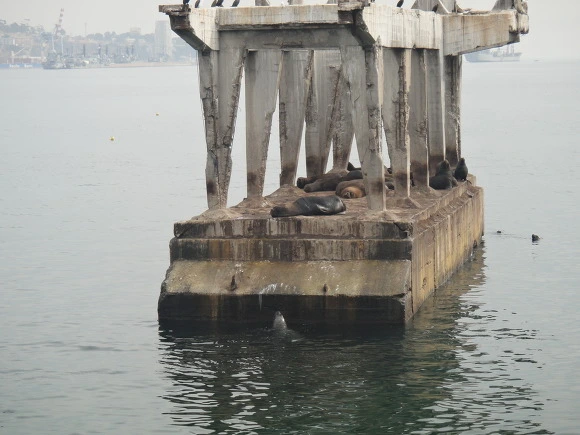 99D02B3359F90BB8342A73