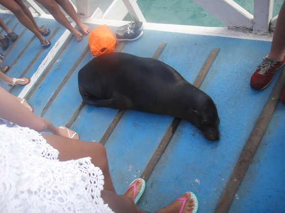 997AF23359FB62BD100915