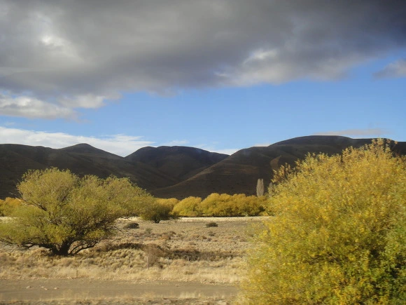 99AAA43359F63D812EBE71