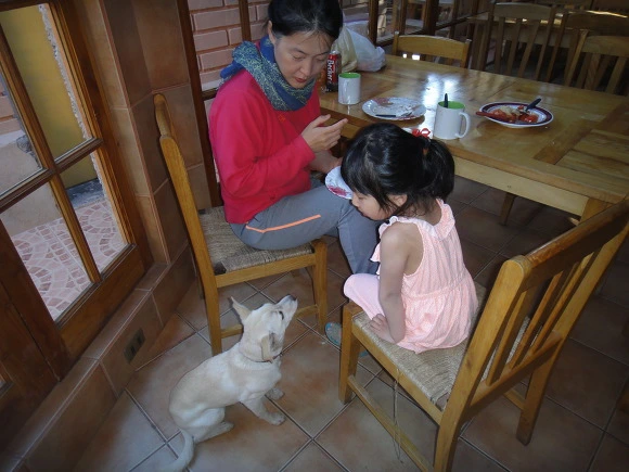 99E8963359F931AF0ECD34