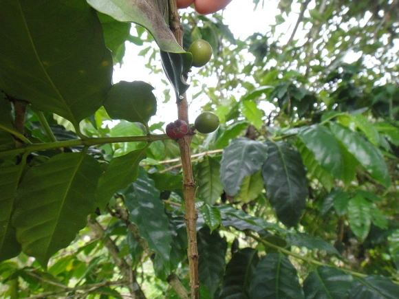 99CB0E3359FC68A417CD73