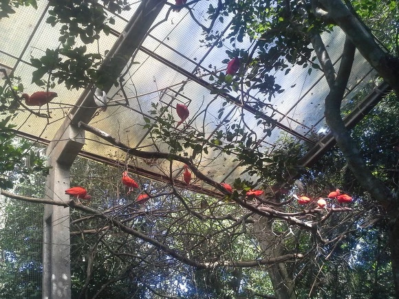 99D96E3359EE96AE2834F7