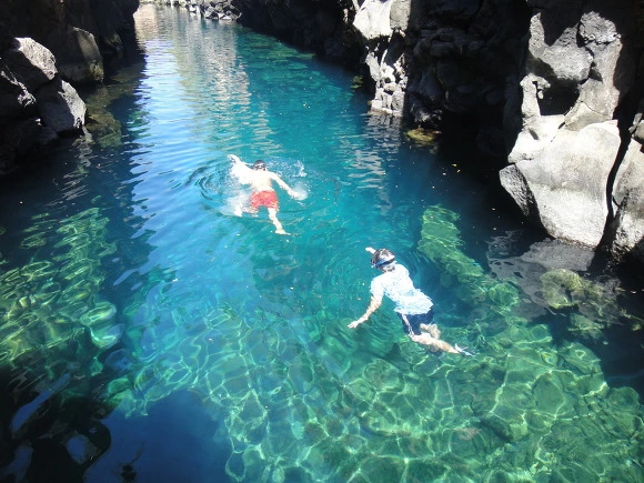 995D1D3359FB87843204B2