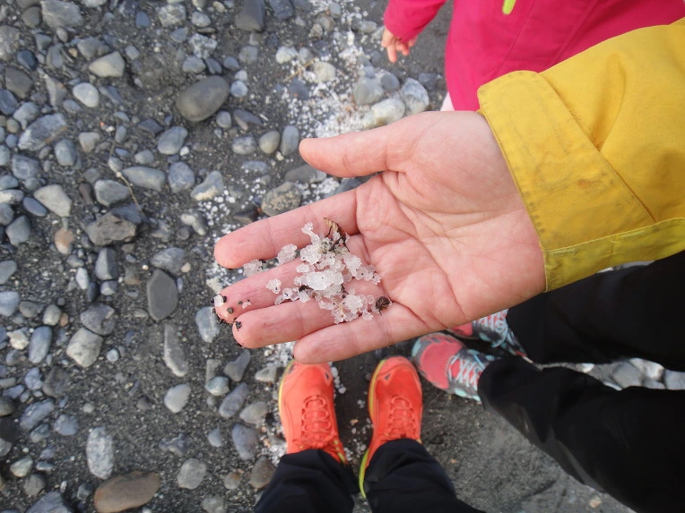 99E68F3359F67540314E55