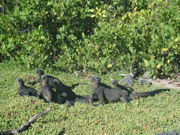 995B8F3359FB8F2C0312AF