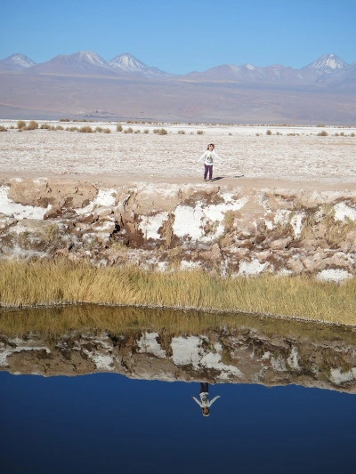 99ED3C3359F9394A1E4C50