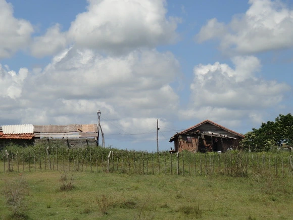 9938C53359F739D32E5084