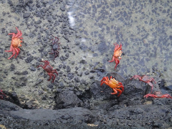 99A6AD3359FB58810AC968