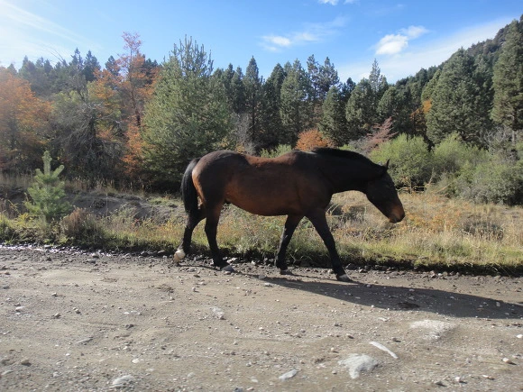 9993B13359F3502717BA52