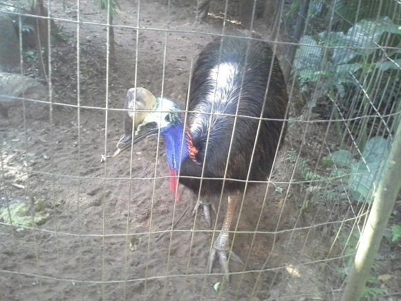 99D8E83359EE96AF27A7F8