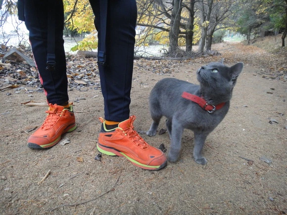 99A0813359F650C2139B98