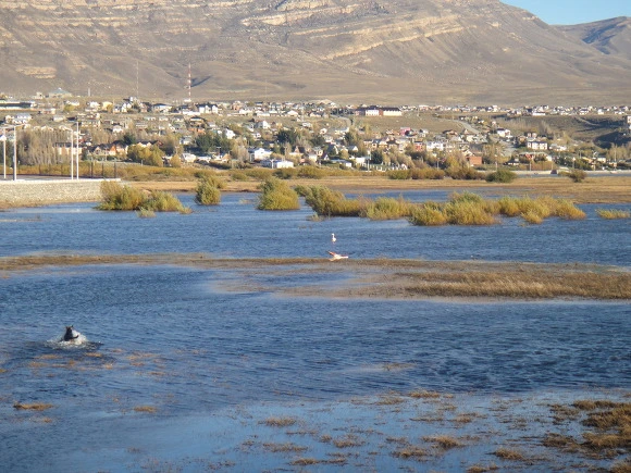 99A9303359F6008A288A88