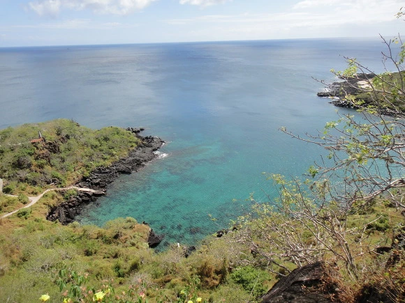 99D0FC3359FBC50C0DA2F7