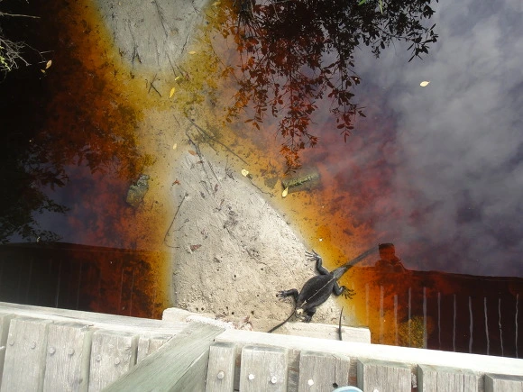 995E783359FB70321E14A3