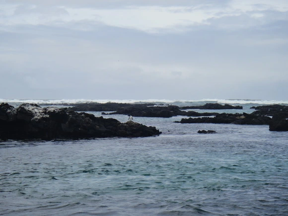 999BE63359FB75B71F6254