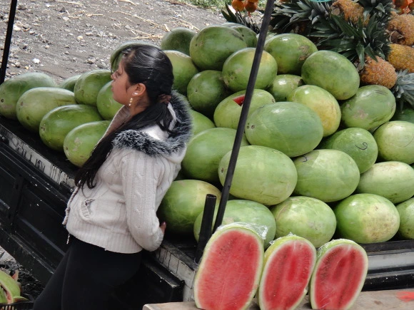 99CF473359FC0F520A571F