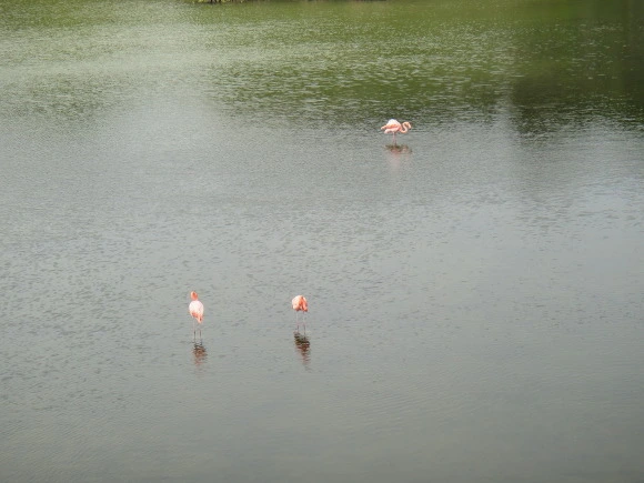 9957BD3359FB70251F76B5