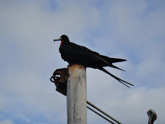 9989CF3359FB6B8C1BC5A6