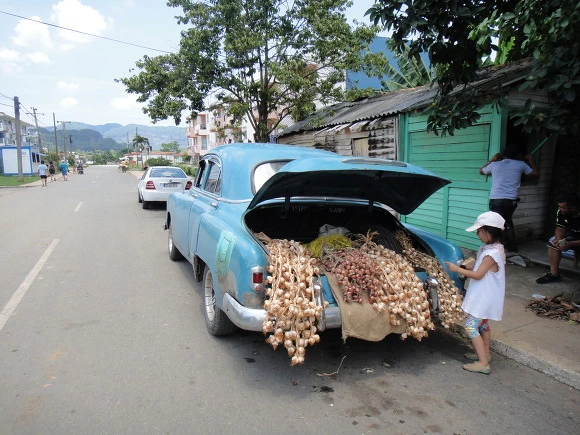 996B453359F7CFA212EBB7