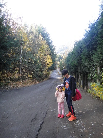 99C1F33359F35F340371D3