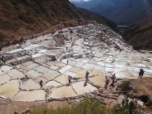 9971403359FAE64C234DD8