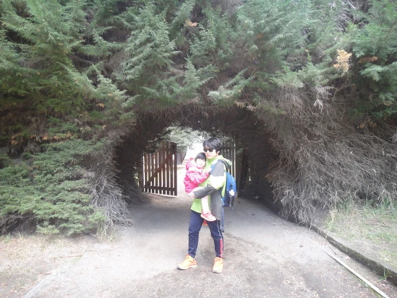 99E9683359F64EF5086C9C