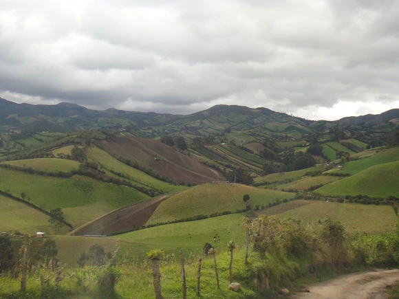 993BB23359FFE9392E80F7