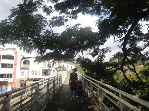 990E2C335A0041B9104F41