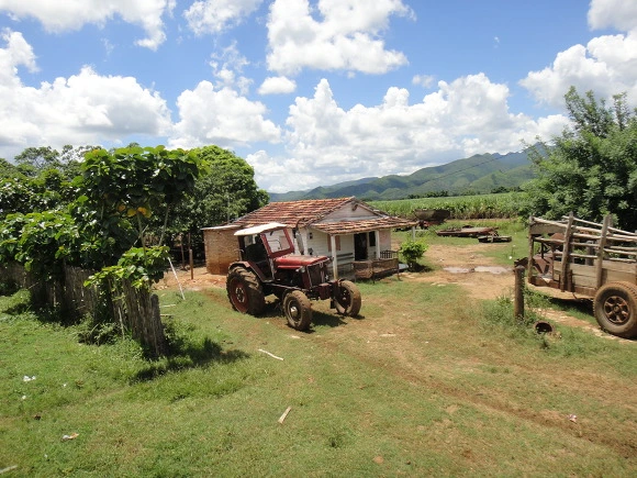 9959163359F739DE221F19