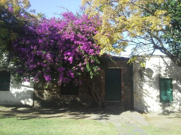 99022C3359EEEF7703484E