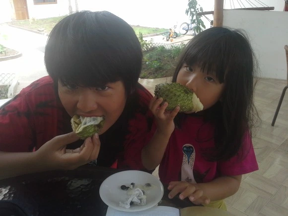 998E7D3359FB808B2D4D52