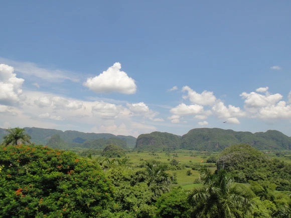 99DF9B3359F7C7B331DCC2