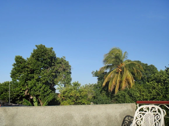 99902B3359F6E0A330E2CF