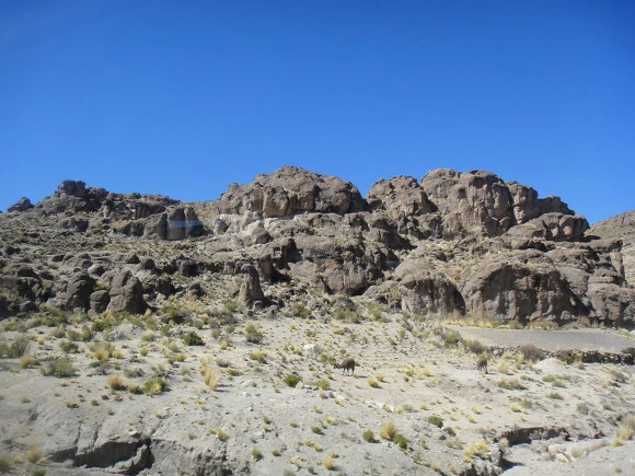 99A7203359F9BAA22C3FBE