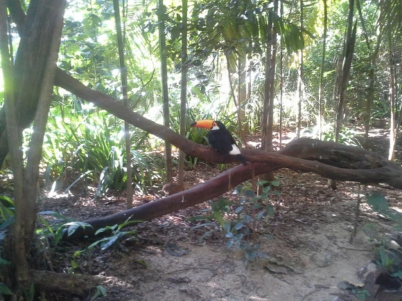 99B3DA3359EE94C8184471