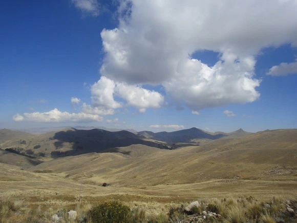 99458B3359FAAFA03B7ABC