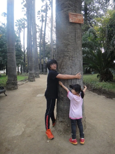 99F3553359F922171A113A