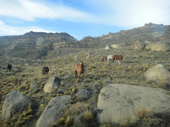 997A333359F5EC163536CD