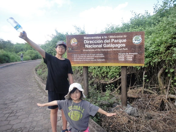 993FA03359FB566201AF42