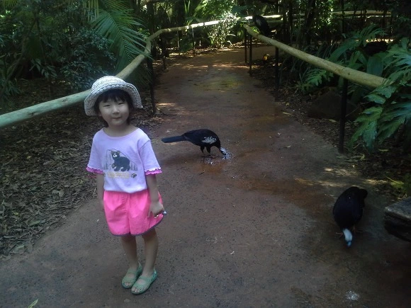 993FC63359EE96AE22BC50