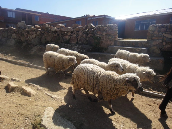 99F3263359FA60B1174AFC