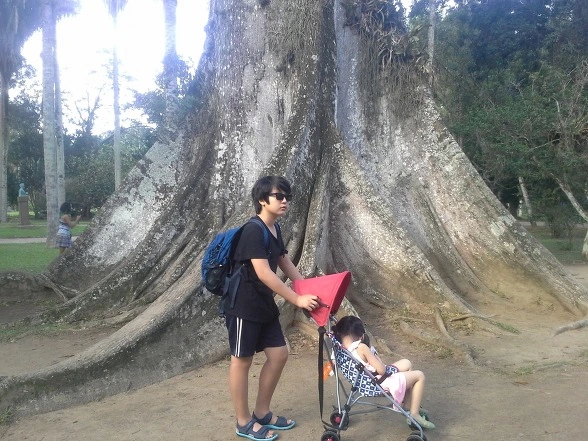 2654F5345613F3A2031669