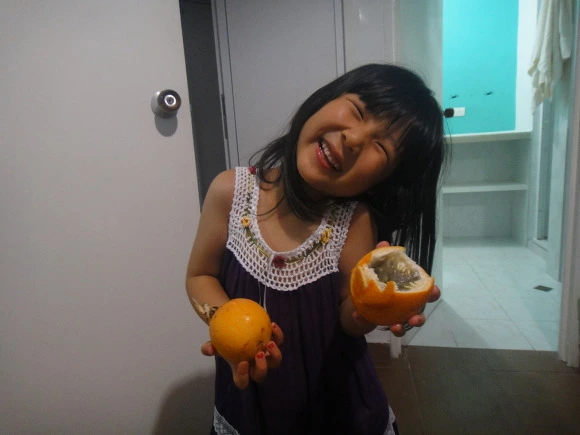 990468335A0042FE294AD6