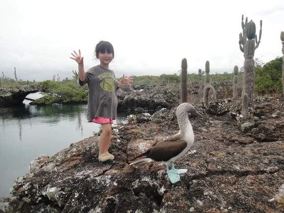 999D383359FB75C71FA669