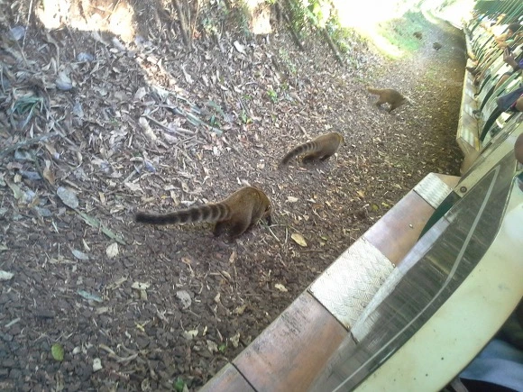 995FBB3359EEA91B32DF2D