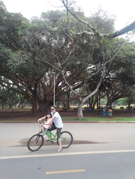 237BCE3B56096B74374B52