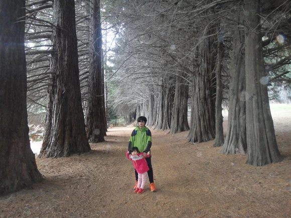 997B8E3359F64EED0C41A4