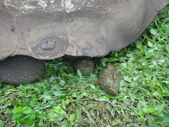 9963AD3359FB5E700B02D5