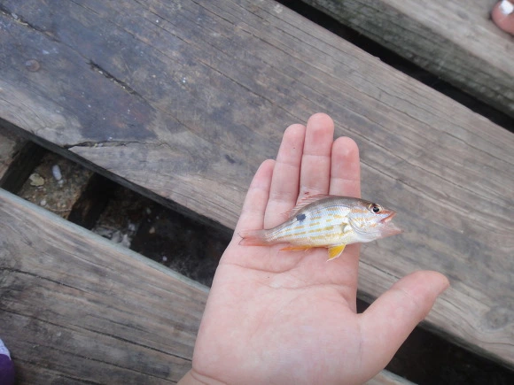 99A6083359F7DAD901A3C9